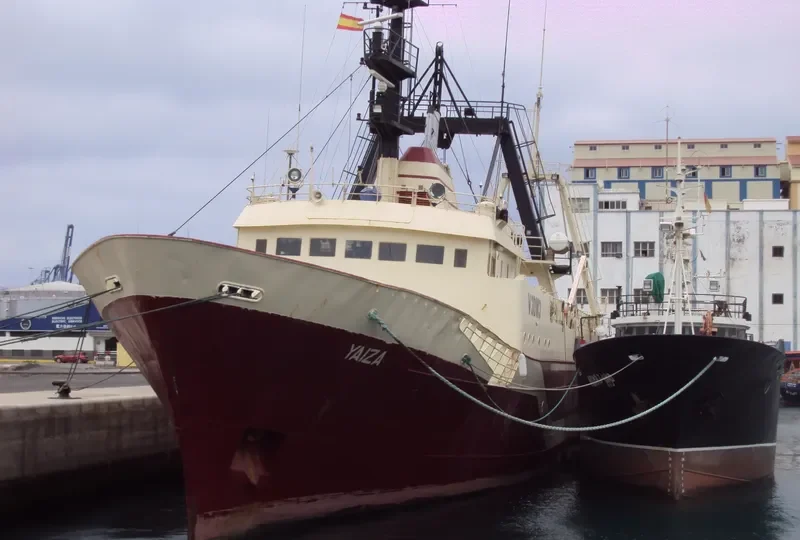 YAIZA General Cargo IMO 7333200 photo 6
