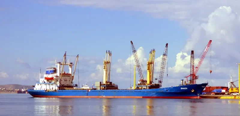 SHAZA General Cargo IMO 7333846