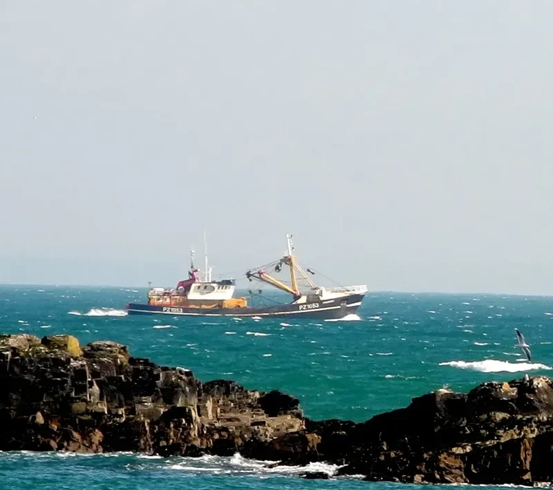 ST GEORGES Fishing Vessel IMO 7333872 photo 8