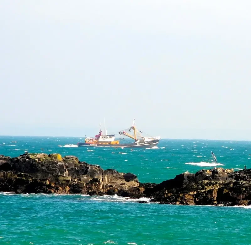 ST GEORGES Fishing Vessel IMO 7333872 photo 9