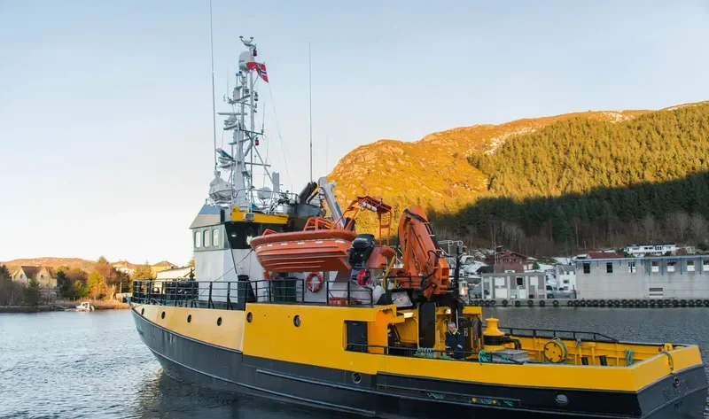FALKUNGEN General Cargo IMO 7334113