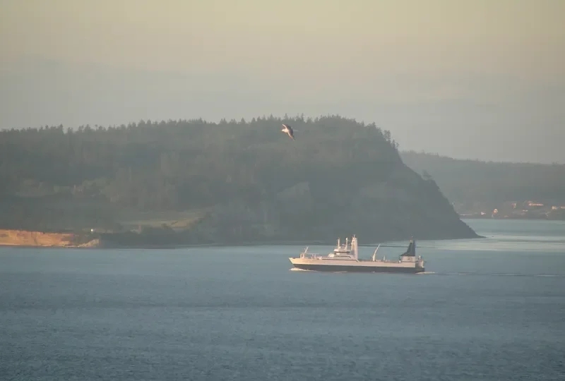 NORTHERN JAEGER General Cargo IMO 7334826 photo 3