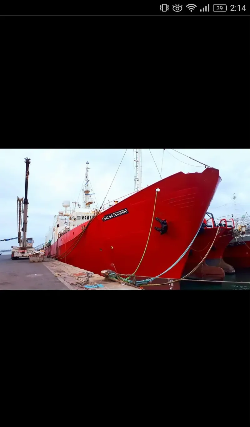 COALSA SEGUNDO General Cargo IMO 7336501