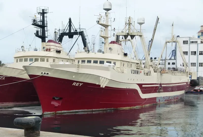REY General Cargo IMO 7336563 photo 8