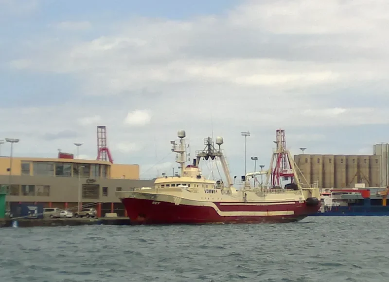 REY General Cargo IMO 7336563 photo 9