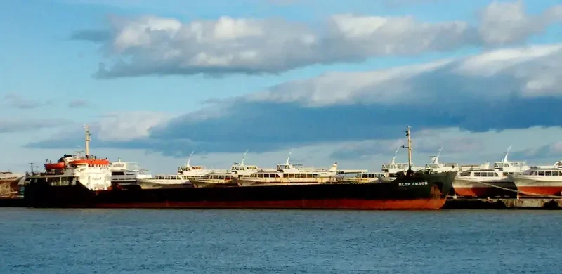 PYOTR LIDOV General Cargo IMO 7337684