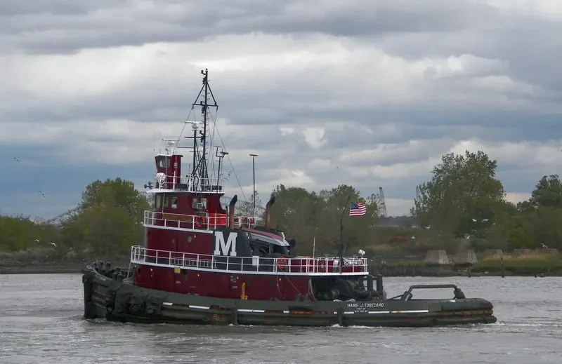 MARIE J.TURECAMO General Cargo IMO 7337880 photo 2