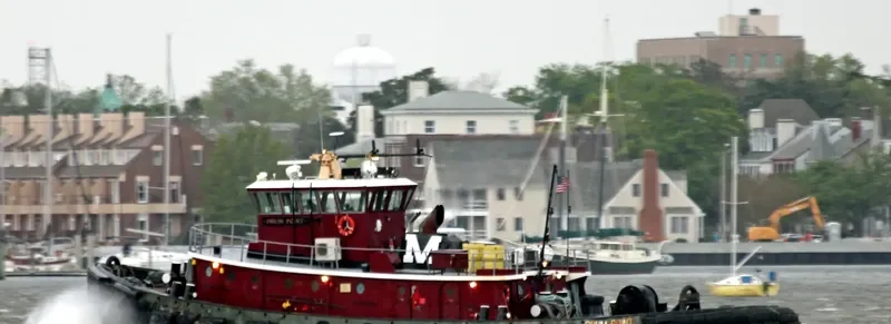 DRUM POINT Tug Boat IMO 7338353 photo 9