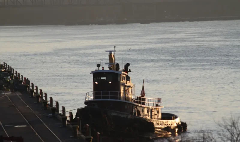 BART TURECAMO Tug Boat IMO 7338808 photo 9