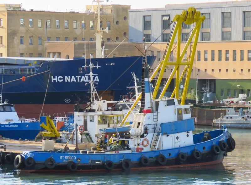 ZOLLA Tug Boat IMO 7338810