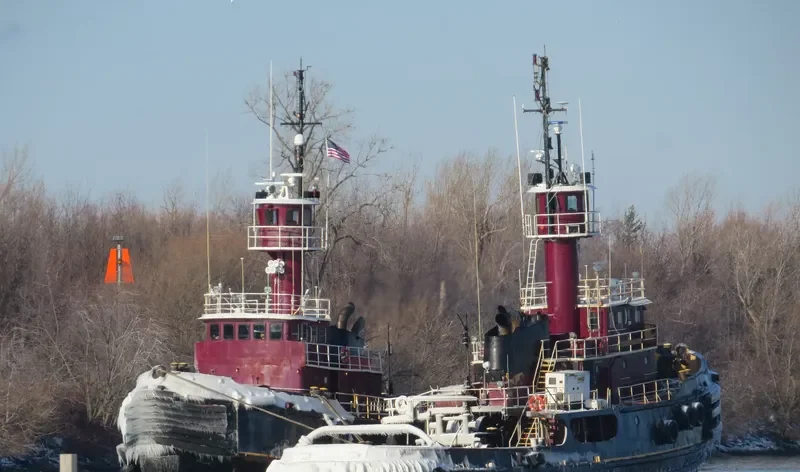 COLLEEN MCALLISTER General Cargo IMO 7338872 photo 2