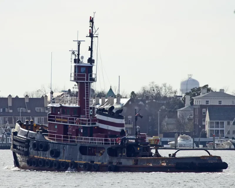 COLLEEN MCALLISTER General Cargo IMO 7338872 photo 5