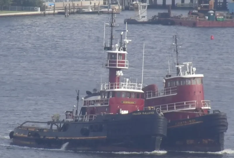 COLLEEN MCALLISTER General Cargo IMO 7338872 photo 8