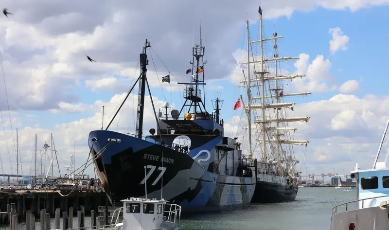 STEVE IRWIN General Cargo IMO 7340370