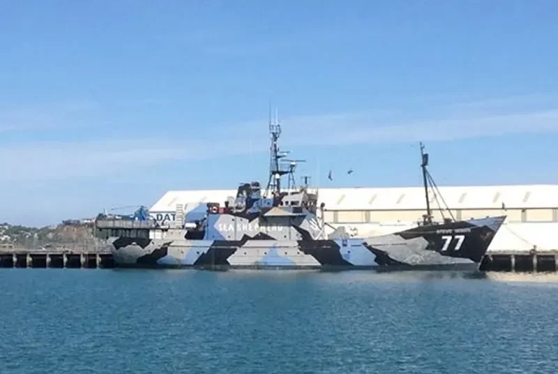 STEVE IRWIN General Cargo IMO 7340370 photo 2