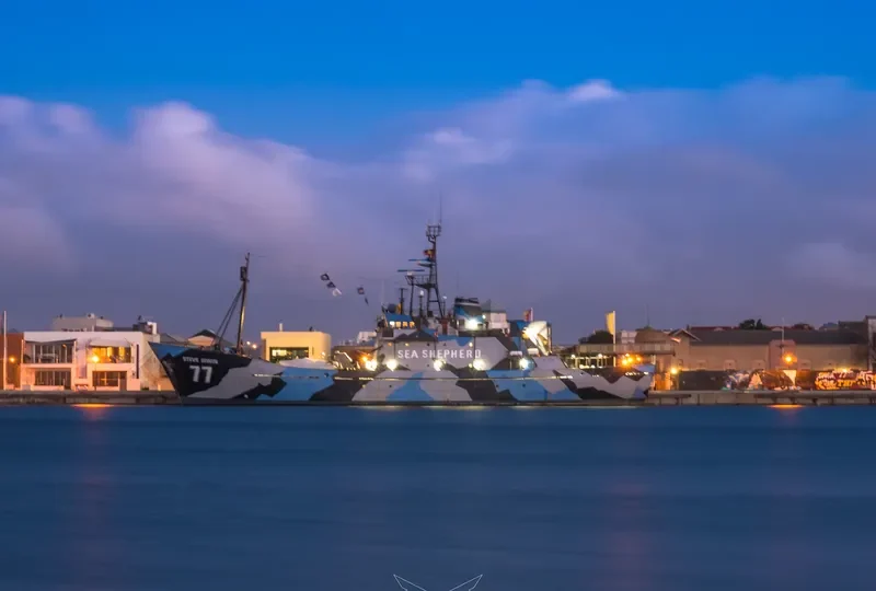 STEVE IRWIN General Cargo IMO 7340370 photo 4