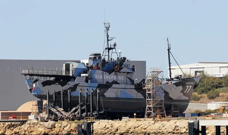 STEVE IRWIN General Cargo IMO 7340370 photo 8