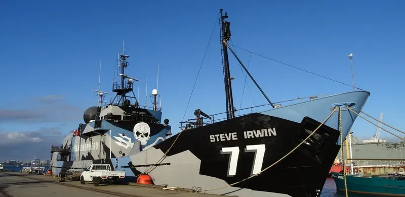 STEVE IRWIN General Cargo IMO 7340370 photo 9