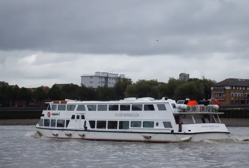 SILVER BARRACUDA Passenger Ship IMO 7340382 photo 10
