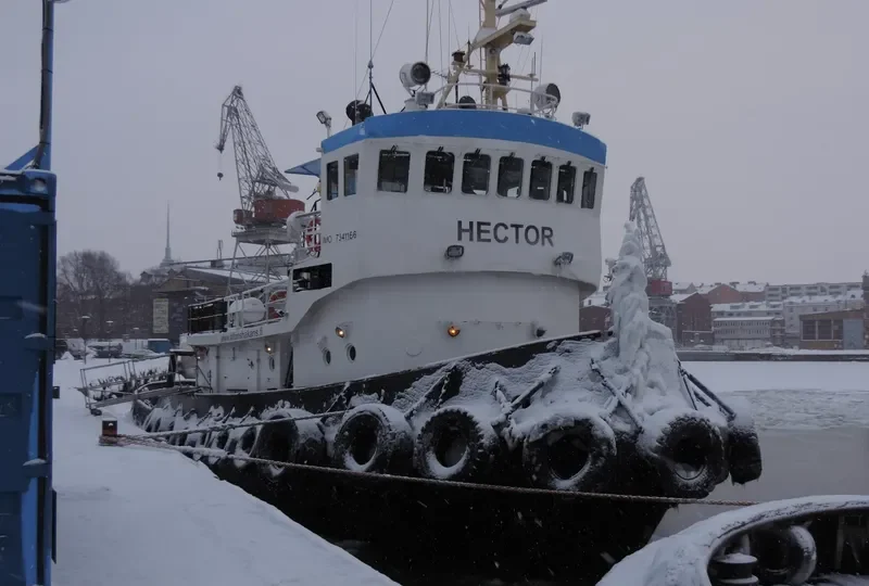 HECTOR Tug Boat IMO 7341166 photo 6