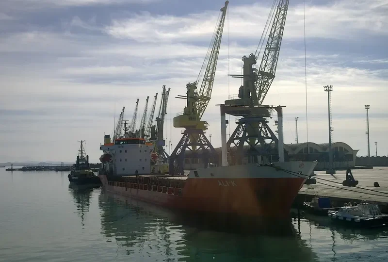 ALI K Bulk Carrier IMO 7341702 photo 4