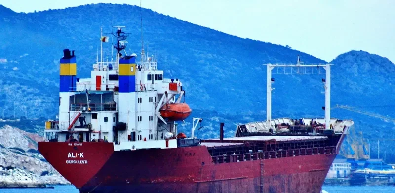 ALI K Bulk Carrier IMO 7341702 photo 6