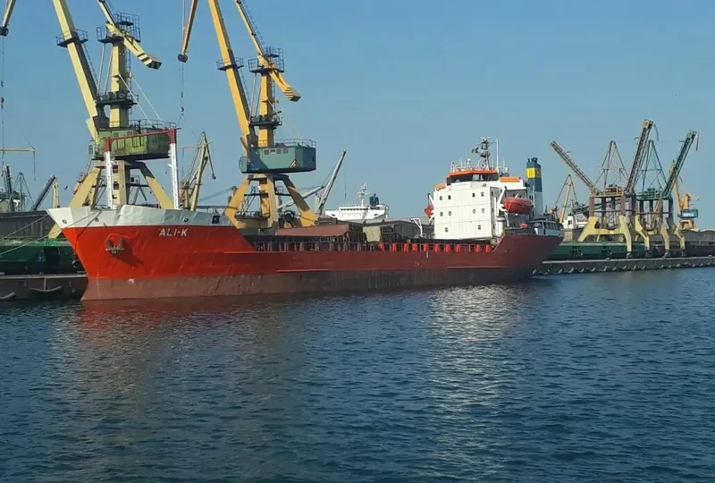 ALI K Bulk Carrier IMO 7341702 photo 7