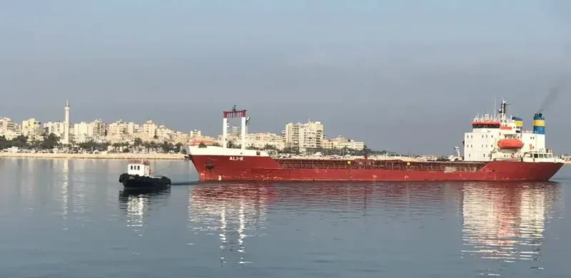 ALI K Bulk Carrier IMO 7341702 photo 8