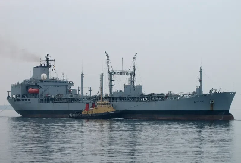 BAYLEAF General Cargo IMO 7342031 photo 6