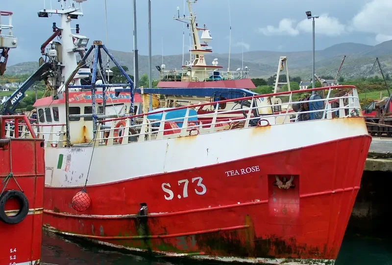 TEA ROSE General Cargo IMO 7342055 photo 6