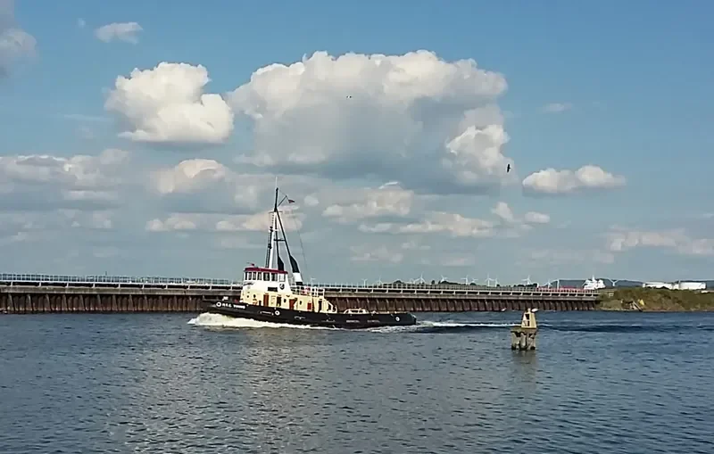 C.VICTORY General Cargo IMO 7342158 photo 4