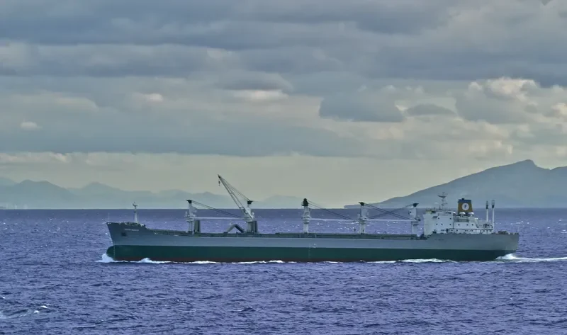 UTLO MA UHIA Bulk Carrier IMO 7343231 photo 2