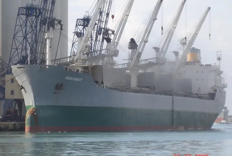 UTLO MA UHIA Bulk Carrier IMO 7343231 photo 6
