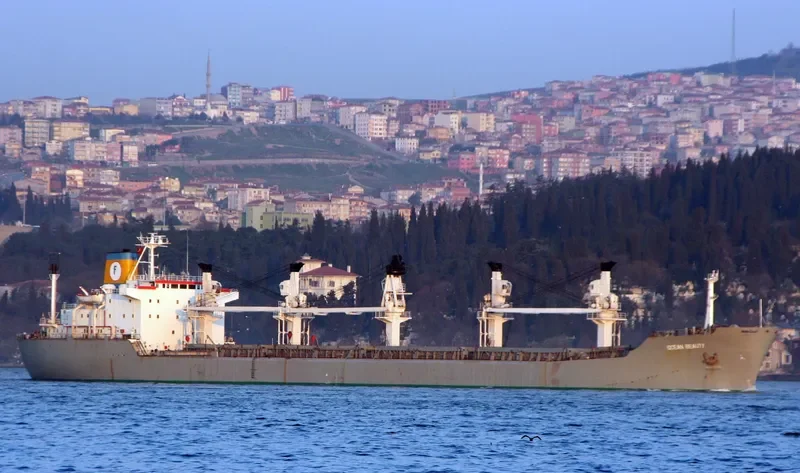 UTLO MA UHIA Bulk Carrier IMO 7343231 photo 7