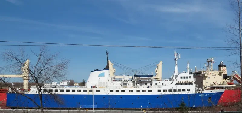 LE MAR Ro-Ro IMO 7343578 photo 7