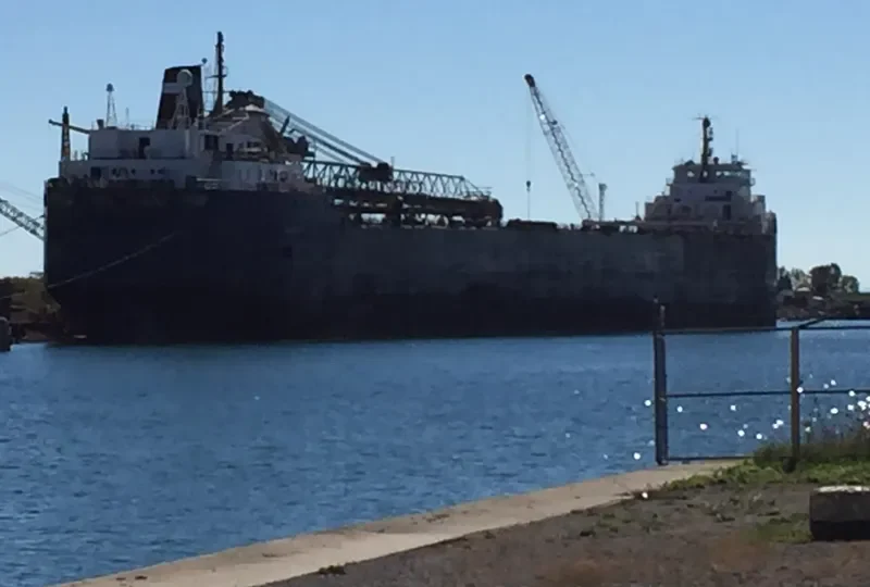 ALGOSOO Bulk Carrier IMO 7343619