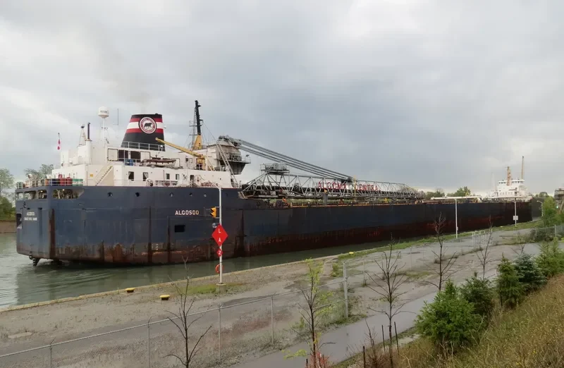 ALGOSOO Bulk Carrier IMO 7343619 photo 4