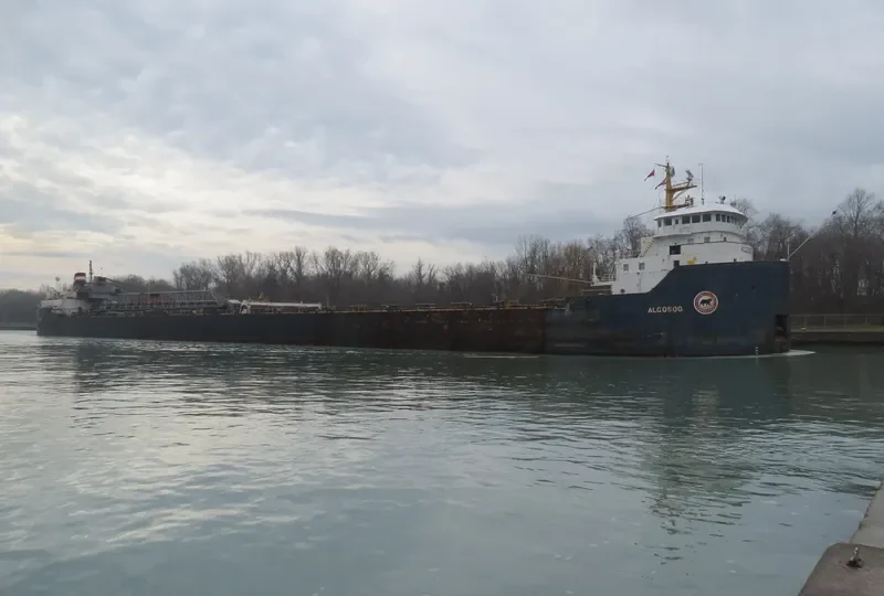 ALGOSOO Bulk Carrier IMO 7343619 photo 9