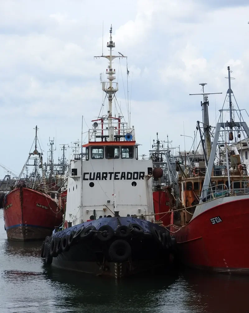 CUARTEADOR General Cargo IMO 7345942 photo 6