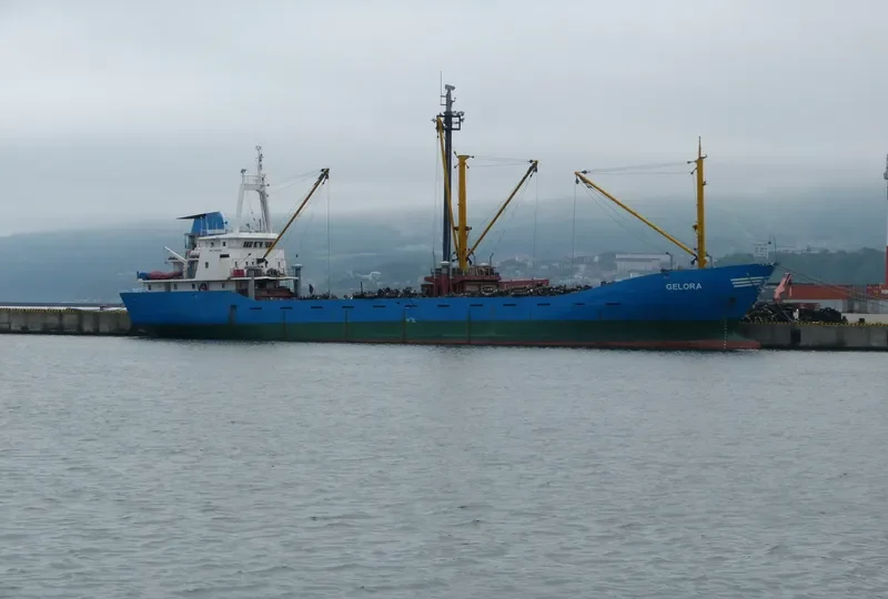 GELORA General Cargo IMO 7346922 photo 2