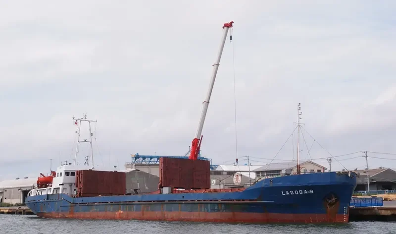 LADOGA 9 General Cargo IMO 7347495