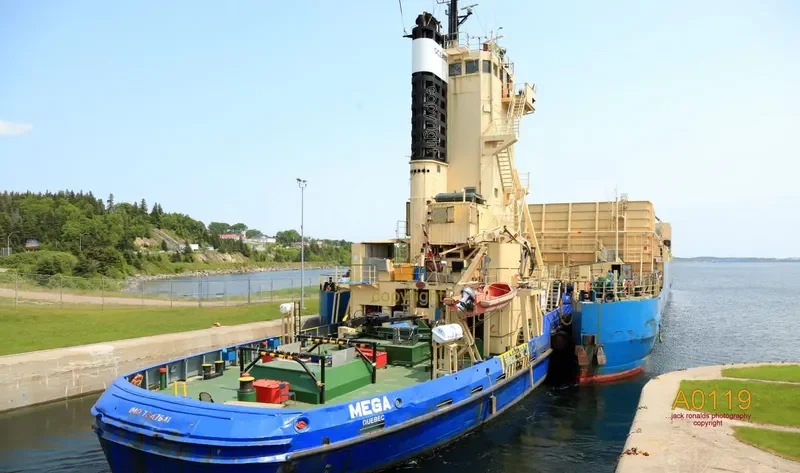 MEGA General Cargo IMO 7347641