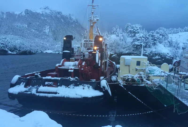 FLINK Tug Boat IMO 7349091 photo 7