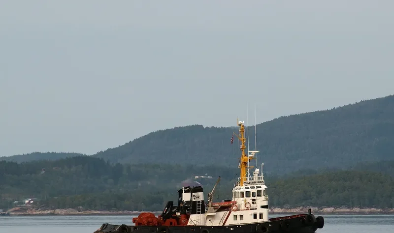 FLINK Tug Boat IMO 7349091 photo 9