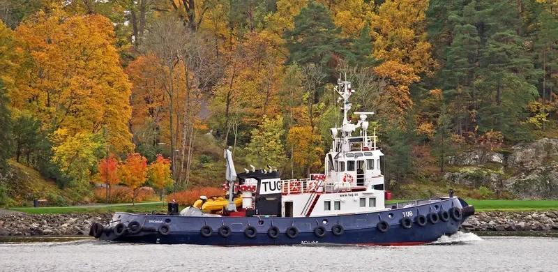 TUG Tug Boat IMO 7349106 photo 4