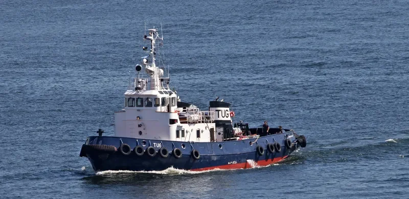 TUG Tug Boat IMO 7349106 photo 5