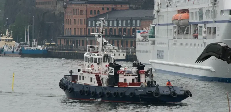 TUG Tug Boat IMO 7349106 photo 8
