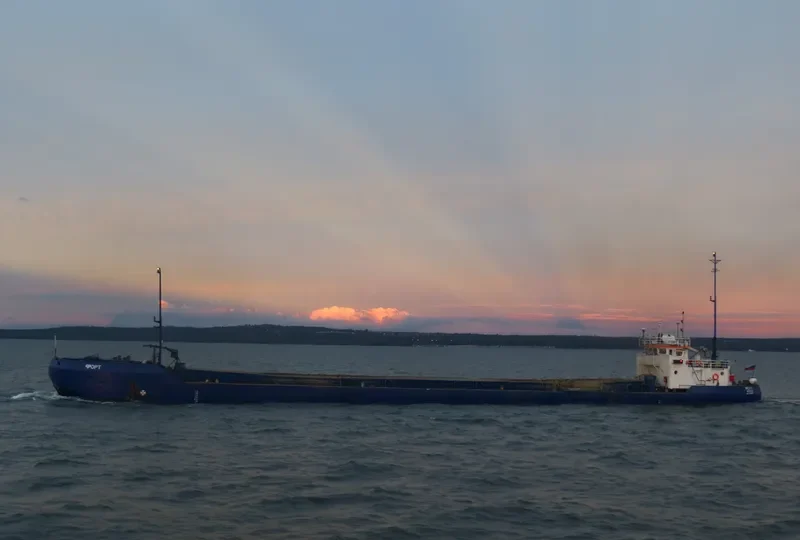 FORT General Cargo IMO 7349405 photo 7