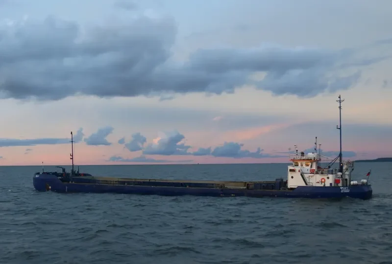 FORT General Cargo IMO 7349405 photo 8