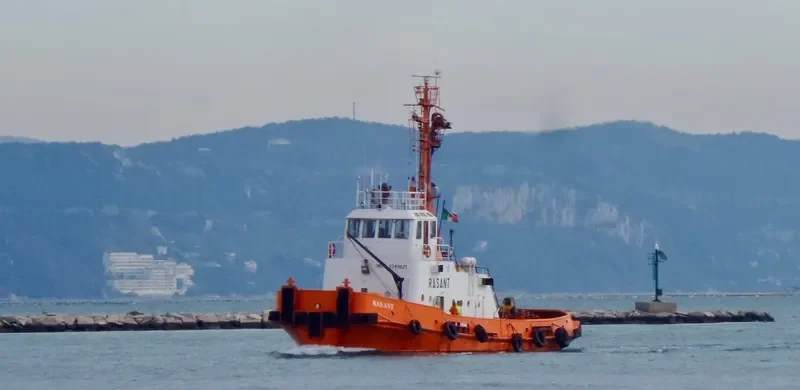 RASANT Tug Boat IMO 7349821 photo 5